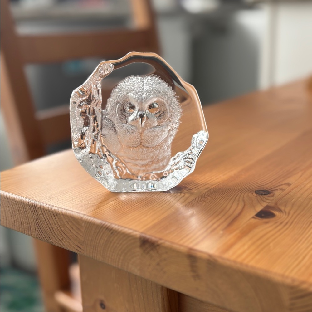 Crystal Owl Glass Sculpture - Clear Decorative Accent